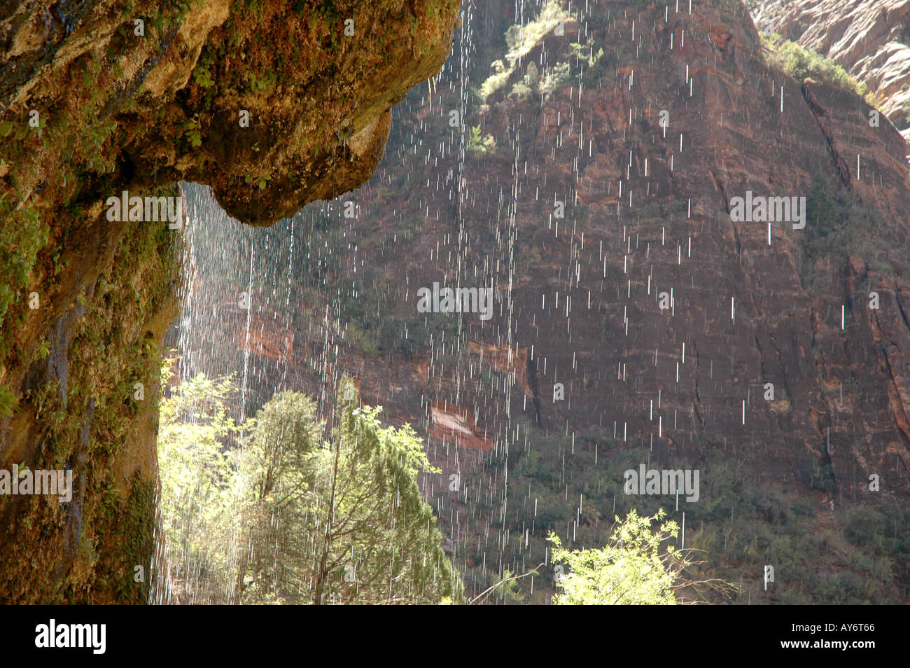 Zion Nationalpark in Utah weeping rock Stockfoto