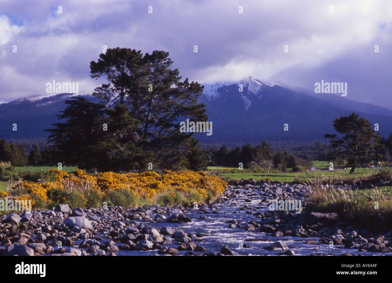 Waiwhakaiho River und Mount Egmont oder Taranaki Egmont National Park Nordinsel Neuseeland Stockfoto