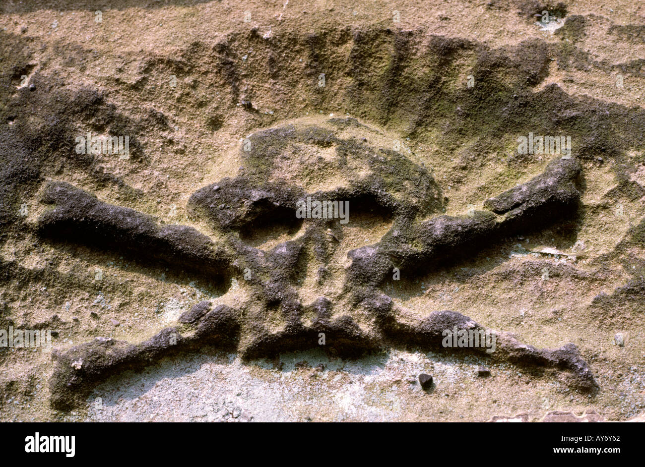UK Cheshire Congleton Astbury Totenkopf gekreuzten Knochen auf Grabstein Stockfoto