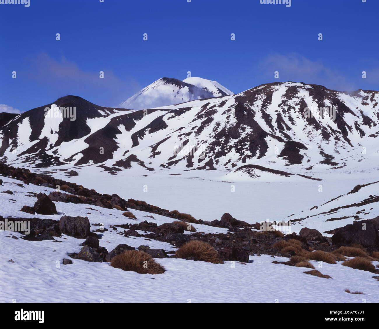 Blick über zentralen Krater in Richtung Mt Ngauruhoe Tongariro National Park Nordinsel Neuseeland Stockfoto