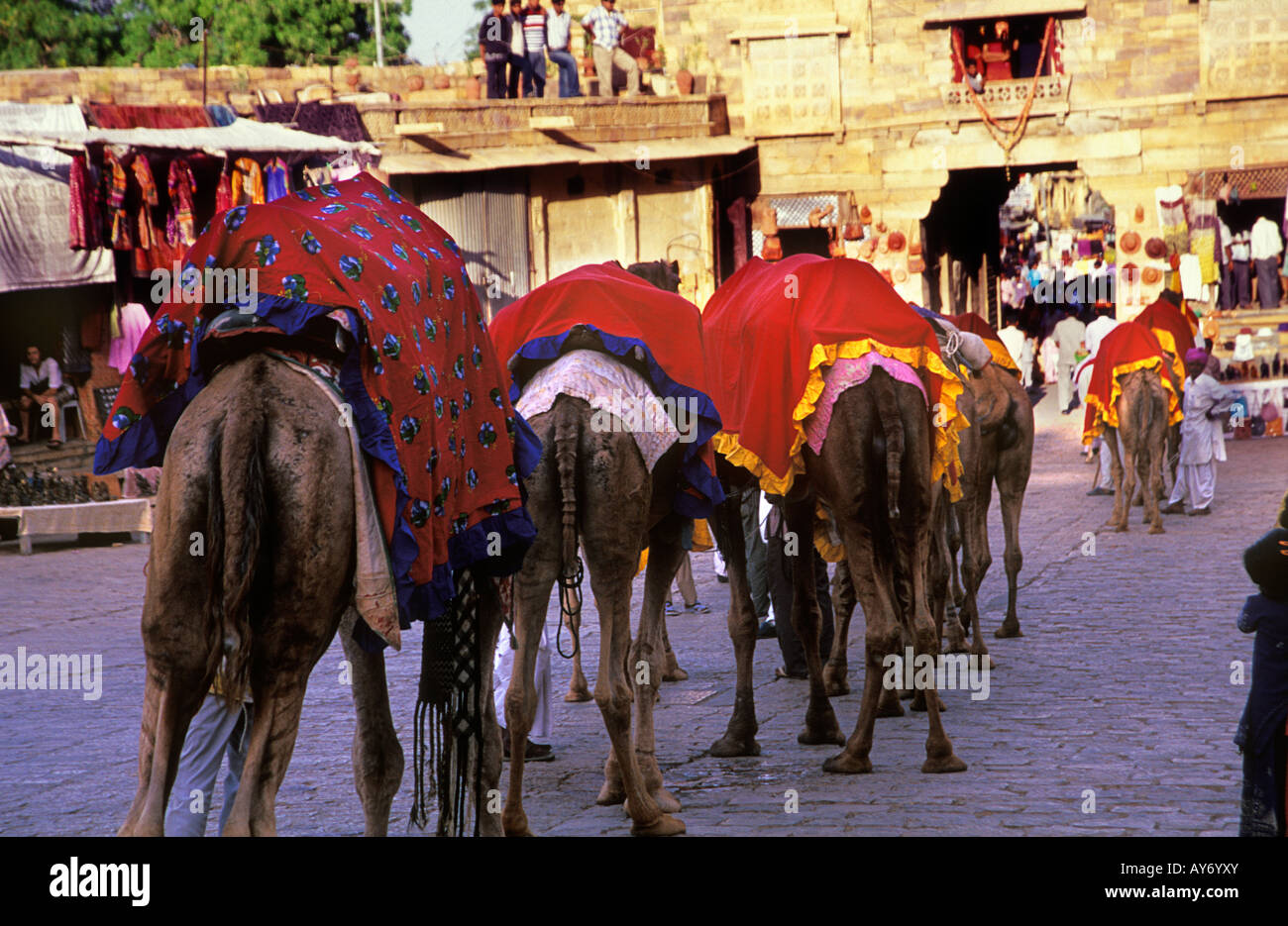 Kamele außerhalb von Jaisalmer Fort Rajasthan Indien Stockfoto