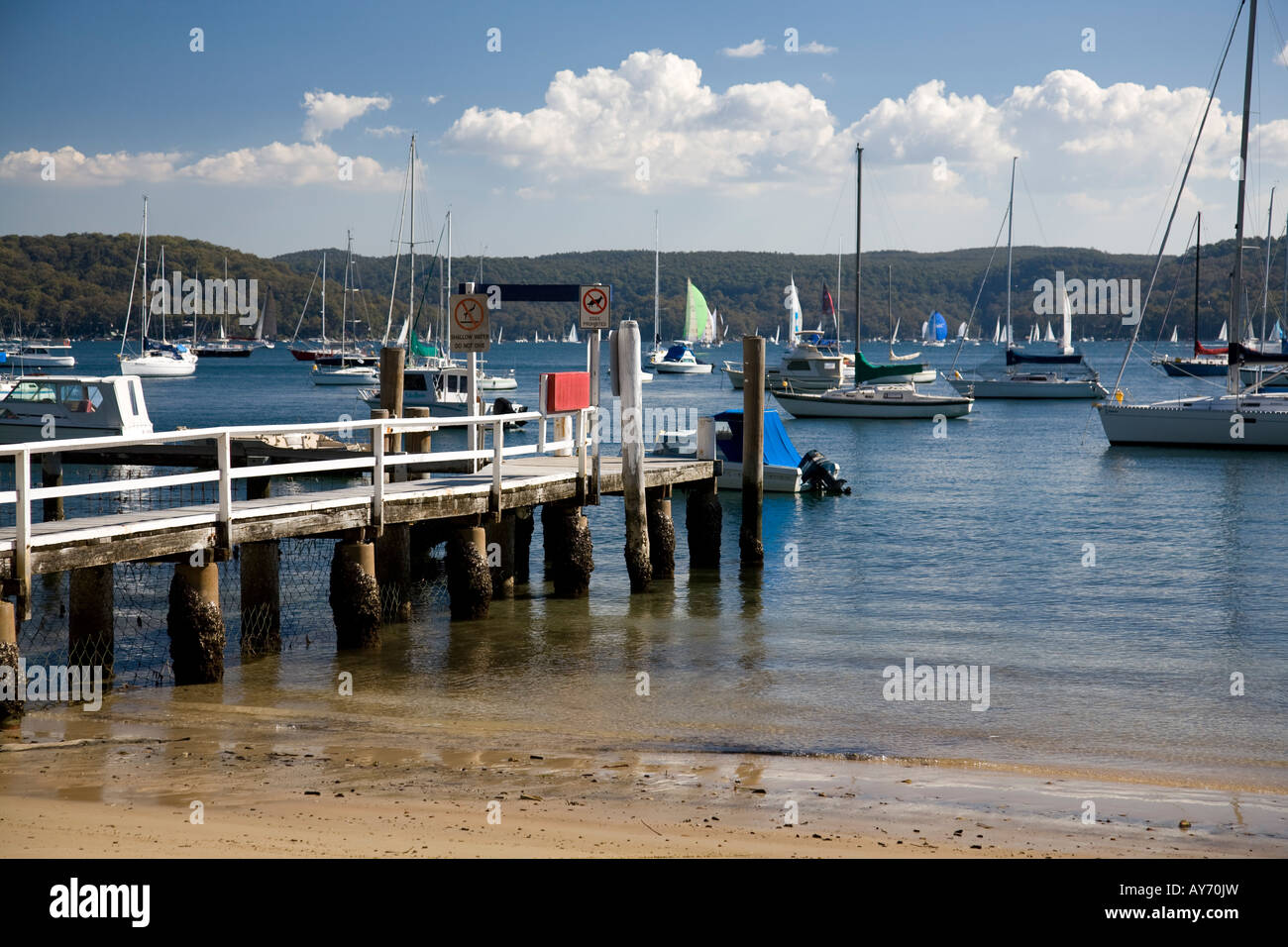 Paradise Beach Wharf und Pittwater Sydney Australia Stockfoto