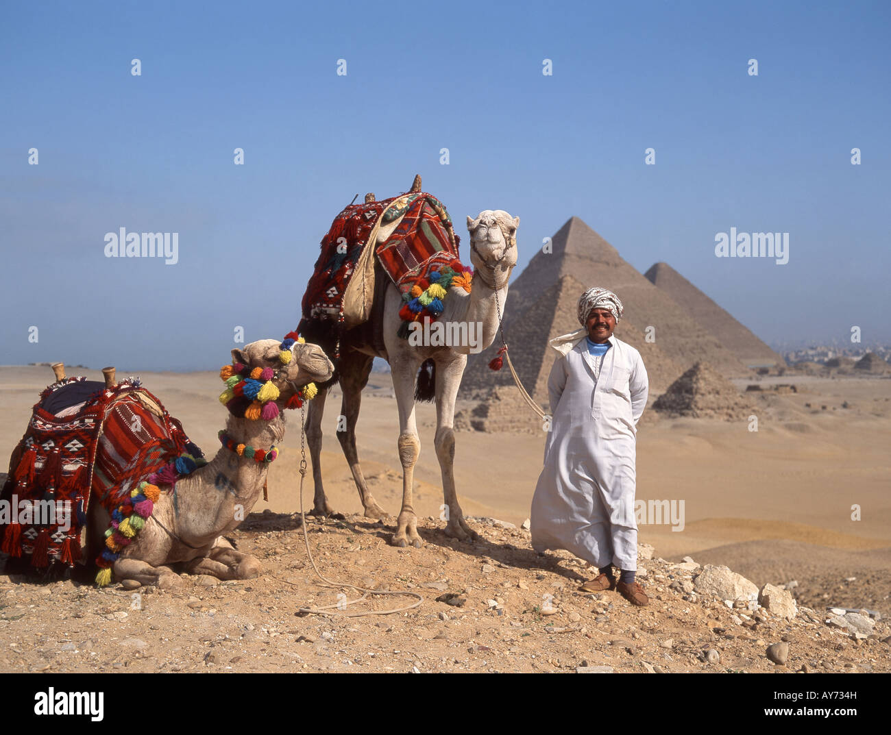 Kamel-Treiber mit geschmückten Kamelen, die Pyramiden von Gizeh, Giza, Ägypten Stockfoto