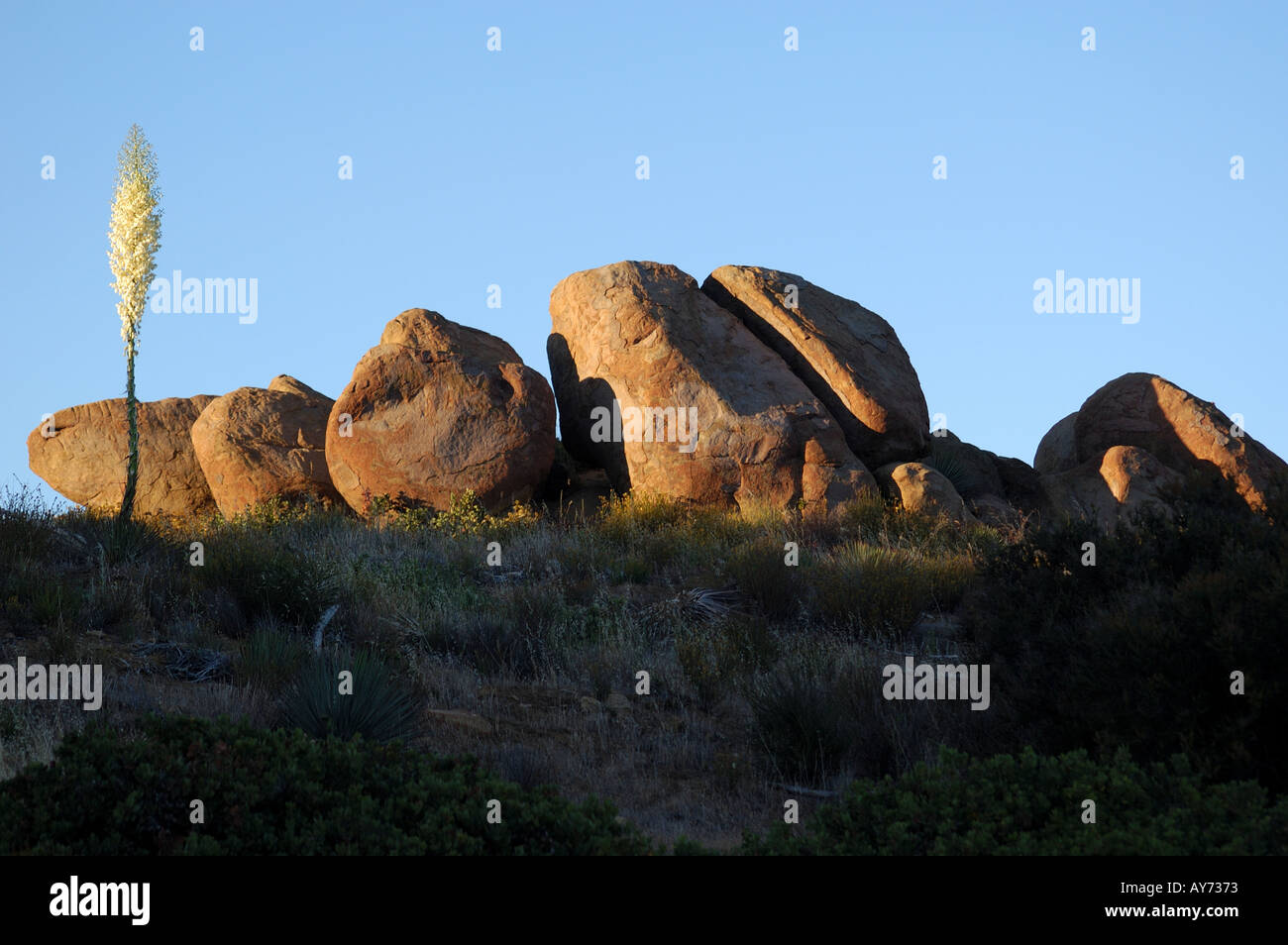 Los Padres National Forest Stockfoto