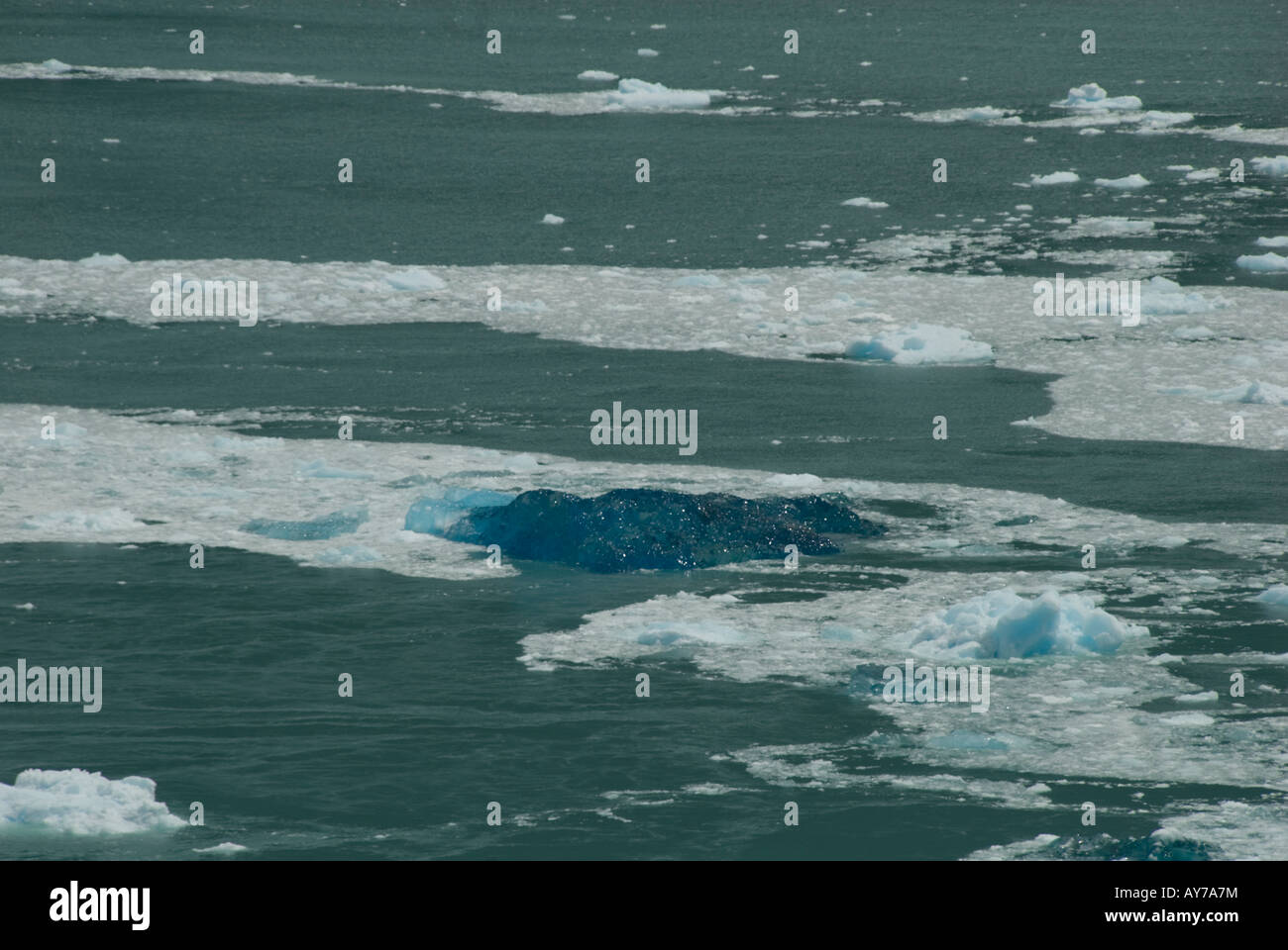 Argentinien Glaciar Perito Moreno Stockfoto