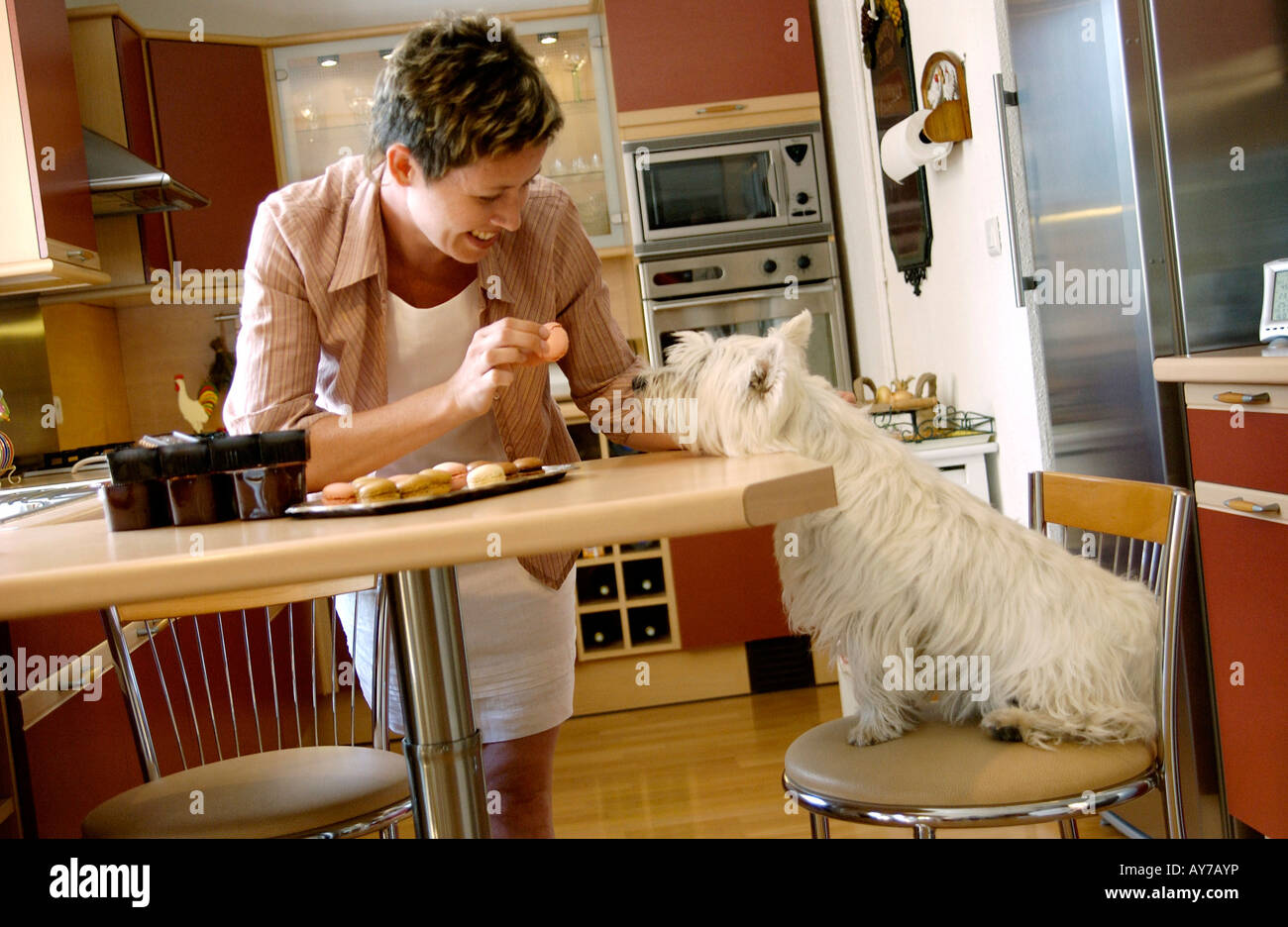 Frau und Hund in der Küche - Kuchen für ihr Haustier füttern Stockfoto
