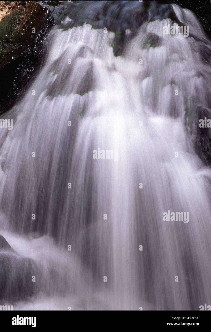 Wasserfall in den Cambrian Mountains von Nord-Wales Stockfoto