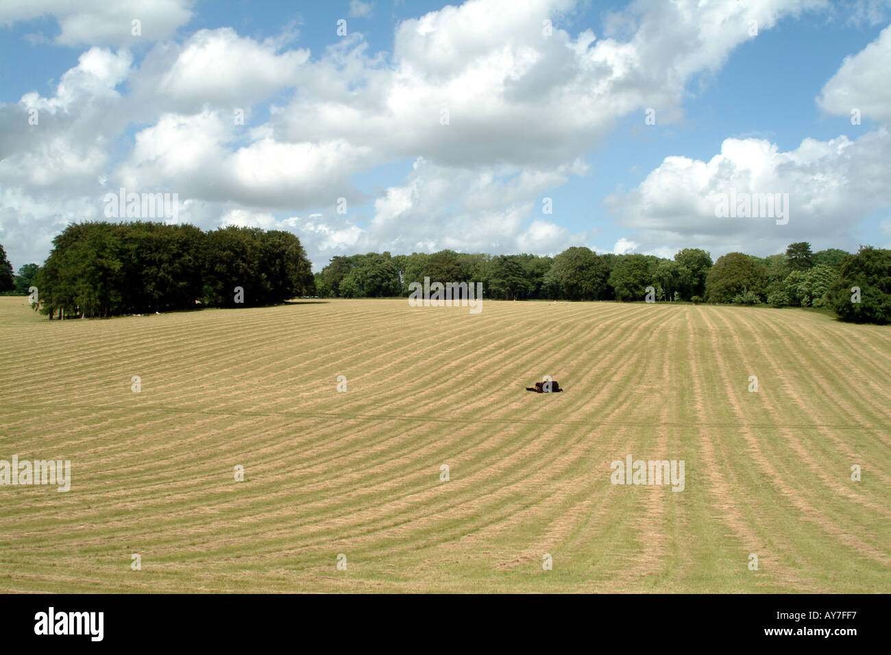 Cranborne Chase auf Dorset Wiltshire Grenze Süd-England UK Stockfoto