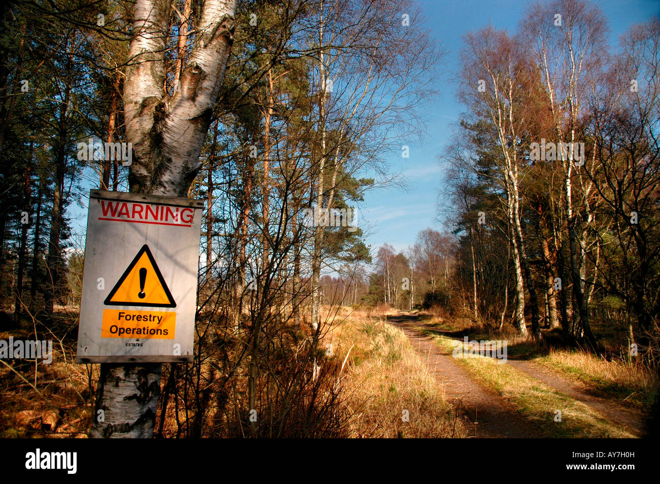 Ein Schild Warnung der Forstbetrieb Stockfoto