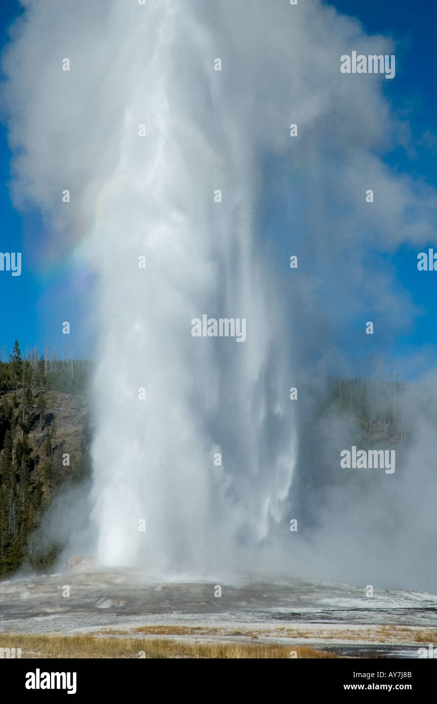 Old Faithful, Yellowstone Nationalpark, Wyoming, USA Stockfoto