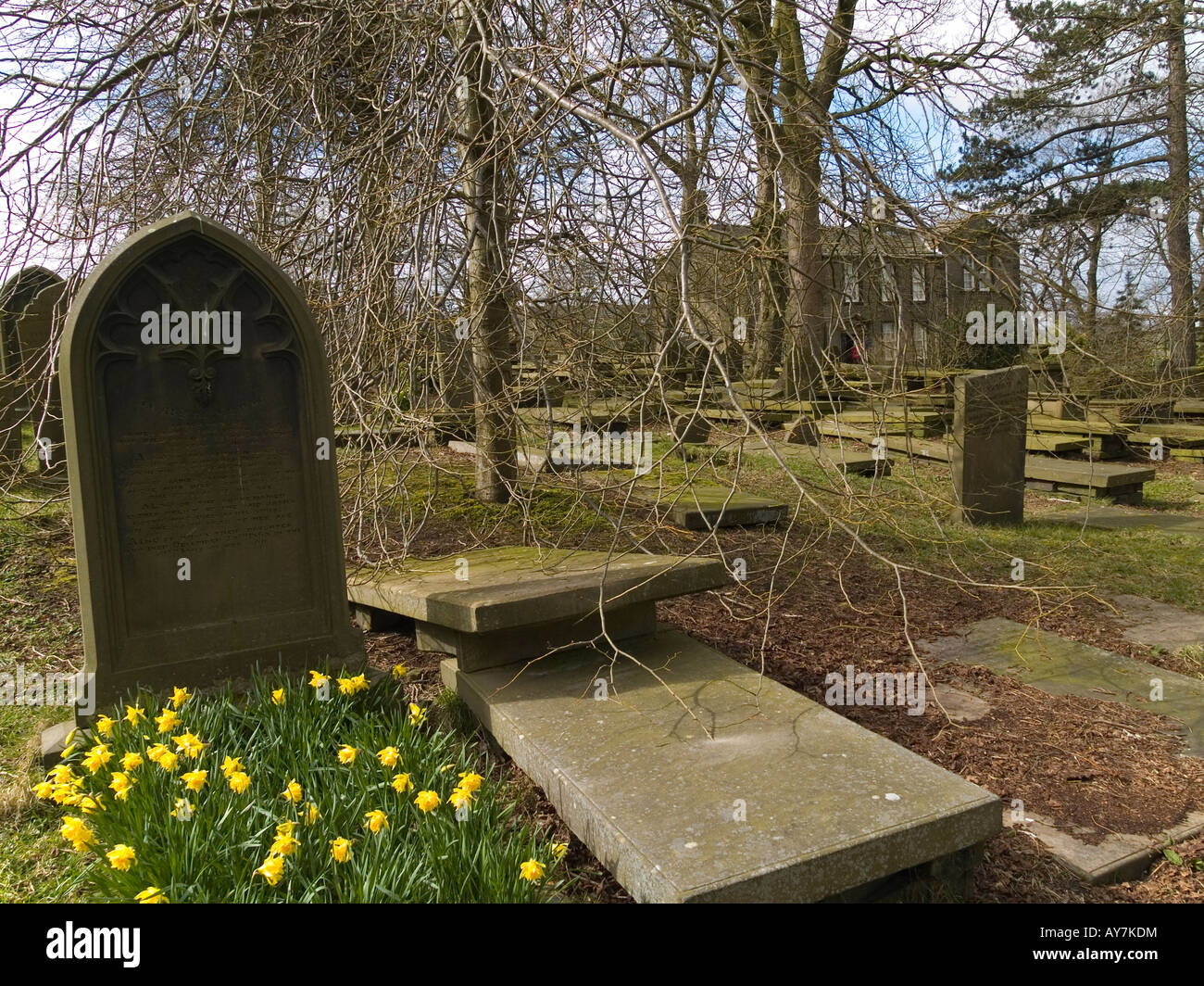 Bronte Parsonage Museum gesehen aus dem kirchlichen Friedhof im Frühling mit Narzissen im Vordergrund Stockfoto