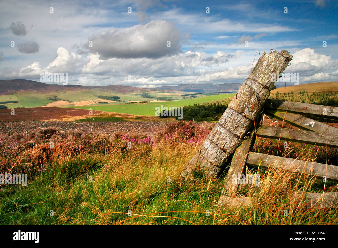 Ein Blick auf Angus Landschaft vom Hügel des Braun-Caterhun in Schottland- Stockfoto