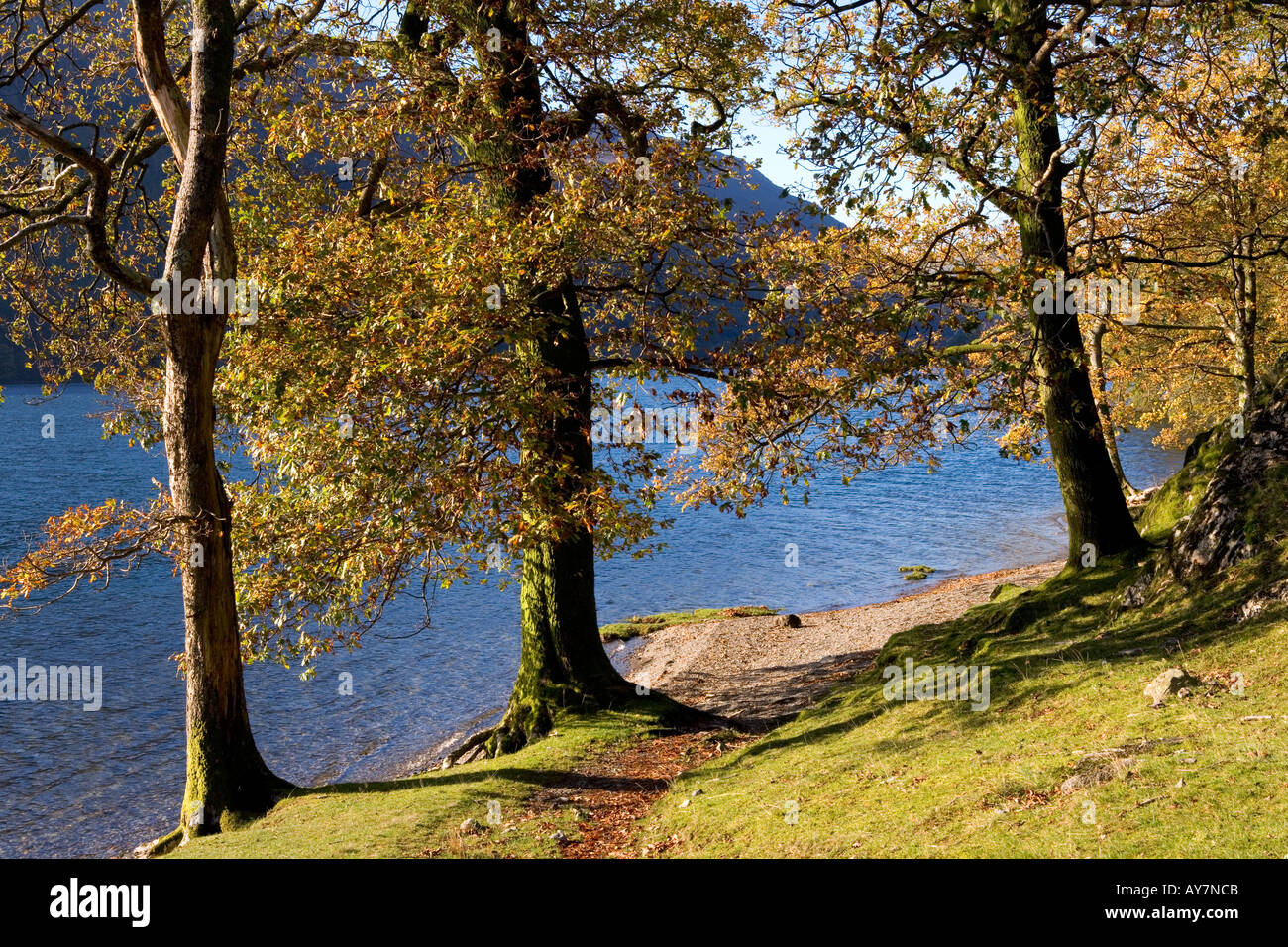 Buttermere, Lake District, Cumbria Stockfoto