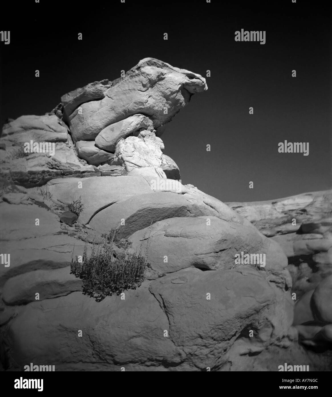 Eine spektakuläre Felsformation in Form der Kopf einer Schlange finden Sie in der Bisti De-Na-Zin Badlands Wildnis, New Mexico. Stockfoto