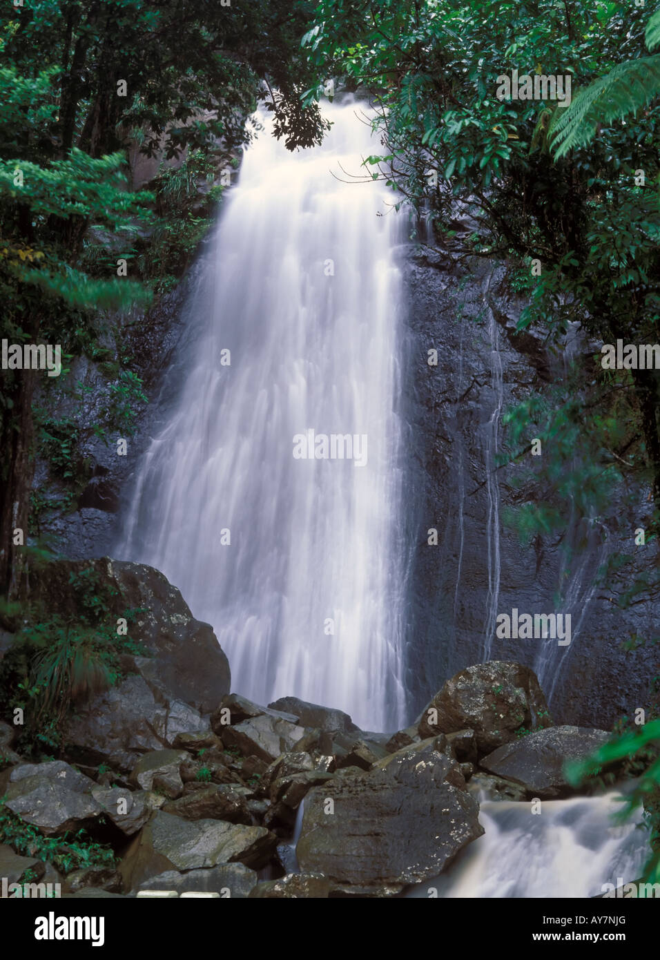 Puerto Rico Wasserfälle am Fluss El Mina in El Yunque Regenwald Karibik-Nationalpark Stockfoto