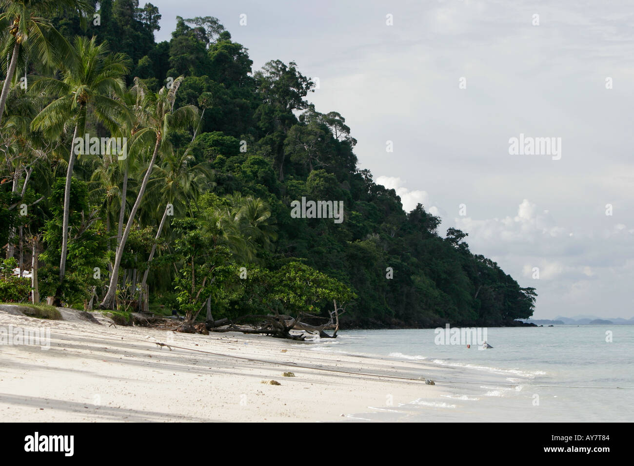 Ruhigen weißen Sandstrand mit Palmen Cocnut Ko Ngai Insel Thailand Stockfoto