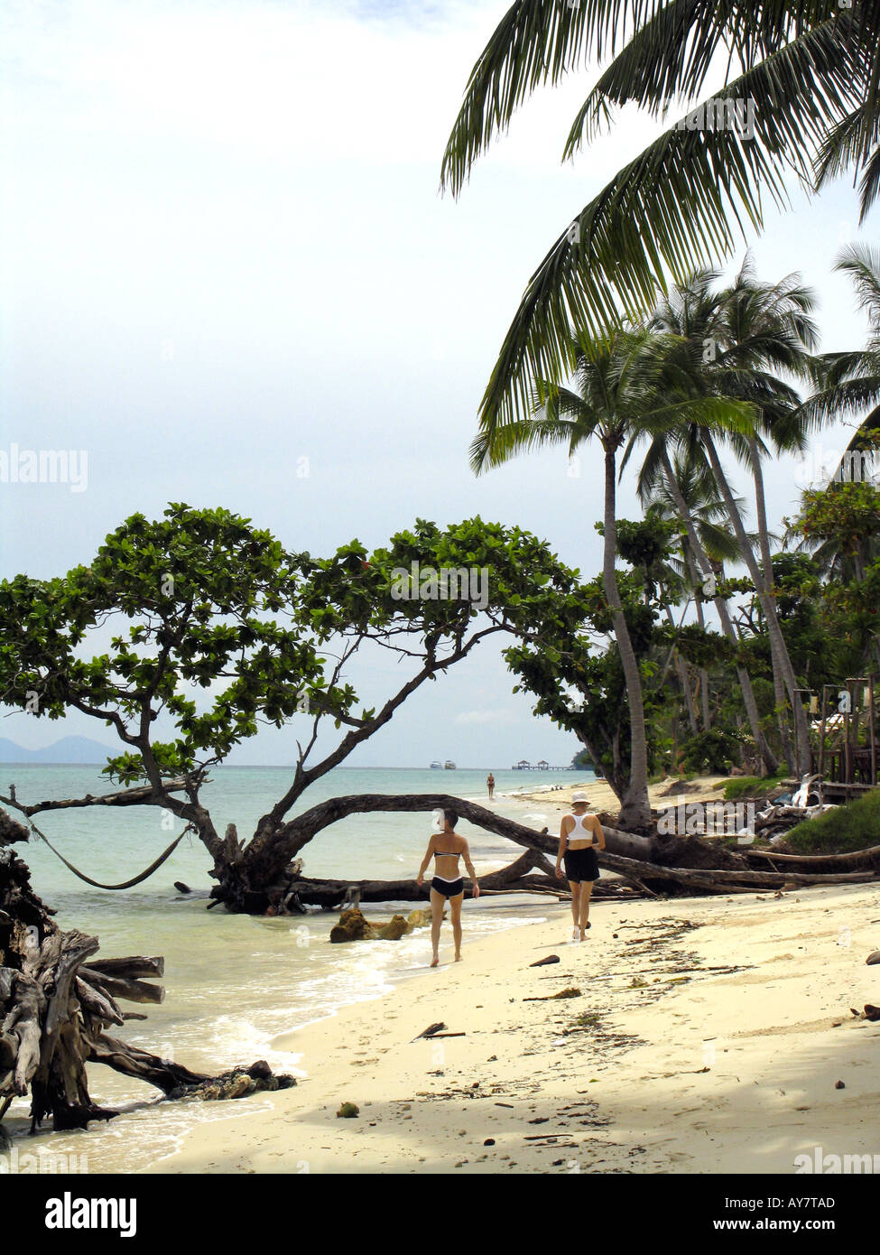 Zwei Frauen gehen am palmengesäumten Strand Ko Ngai Insel Thailand Stockfoto