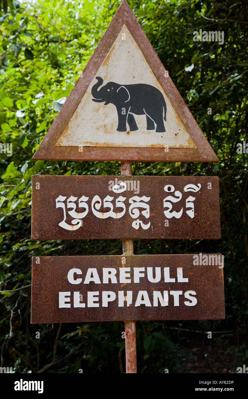 Carefull Elefanten Stockfoto