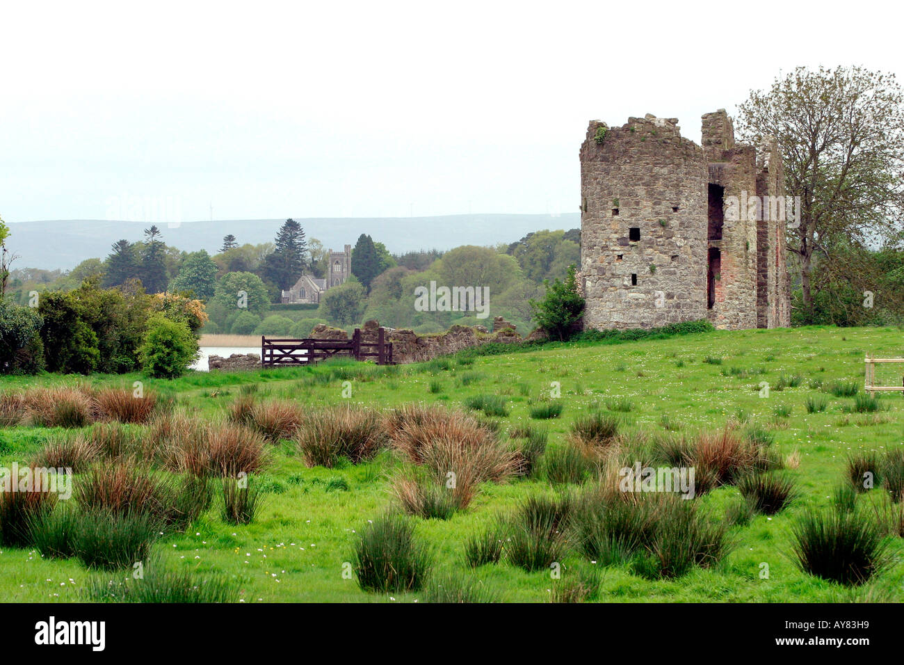 Die alte Burgruine Co Fermanagh Crom Estate Stockfoto