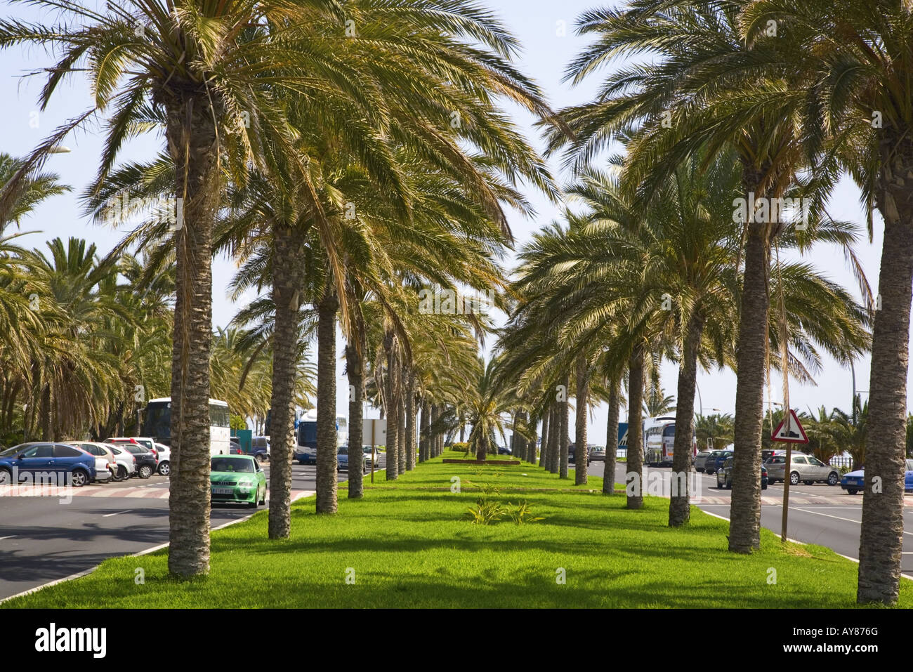 Strandpromenade von Jandia Playa, Fuerteventura, Kanarische Inseln, Spanien Stockfoto