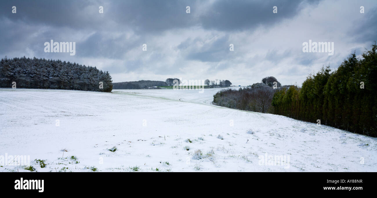 Schnee am Cheesefoot Kopf in der South Downs-Hampshire UK Stockfoto