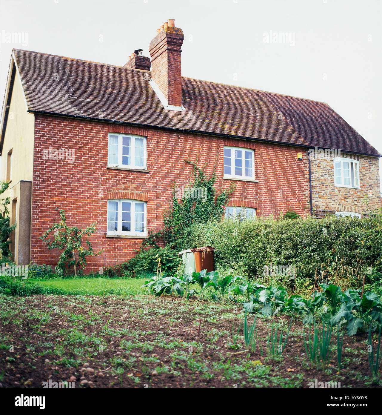Red Brick farm workers' Cottages in Thomasburg Kent England UK KATHY DEWITT Stockfoto