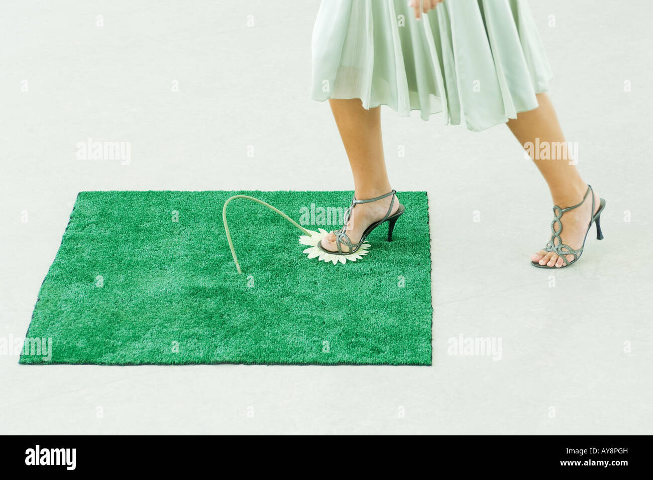 Frau trat auf Kunstrasen, Zerkleinern Gerbera Daisy mit Fuß, beschnitten Ansicht Stockfoto