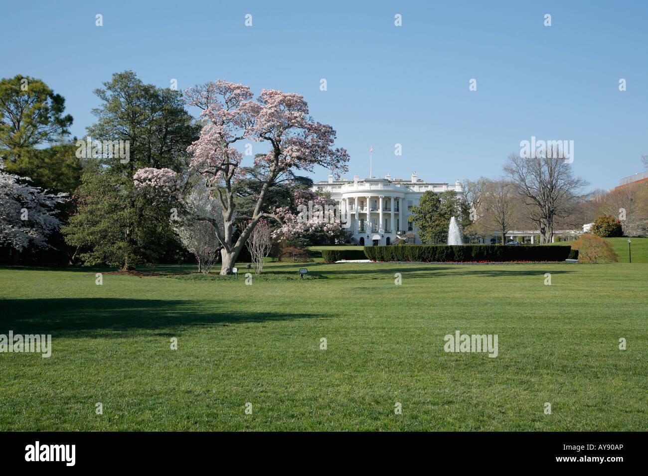 White House, Washington DC, USA Stockfoto