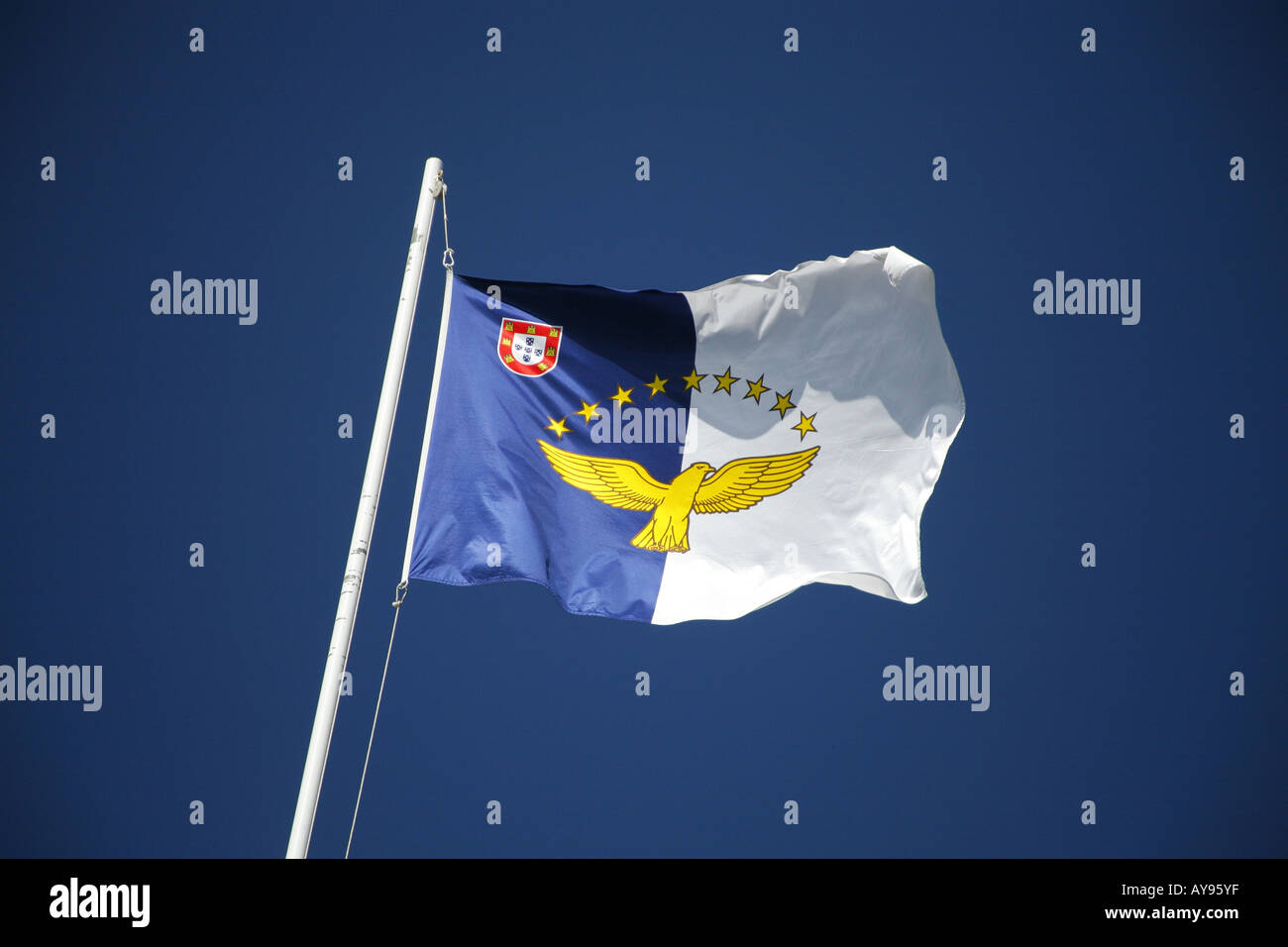 DMSE Azoren Flagge | 90x150 Cm, 100% Polyester | Doppelt Genäht, UV-beständig, Mit Metallösen | 3'x5' Fuß