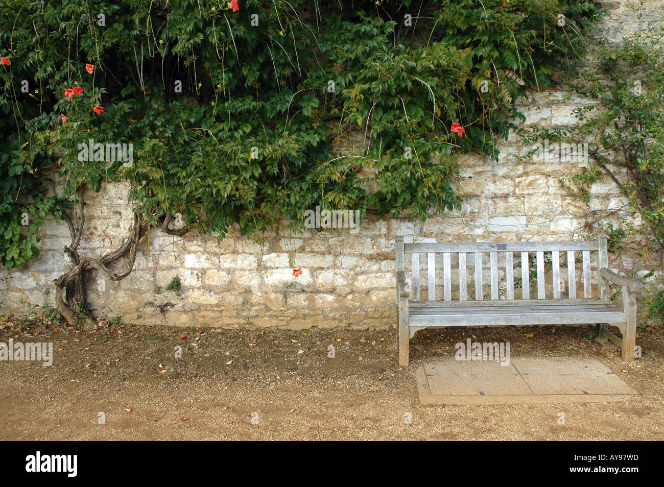 Holzbank am vorderen Court of King College in Cambridge, UK Stockfoto