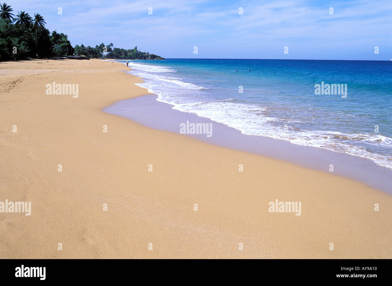 Grande Anse Strand Basse Terre-Guadeloupe Karibik Mittelamerika Stockfoto