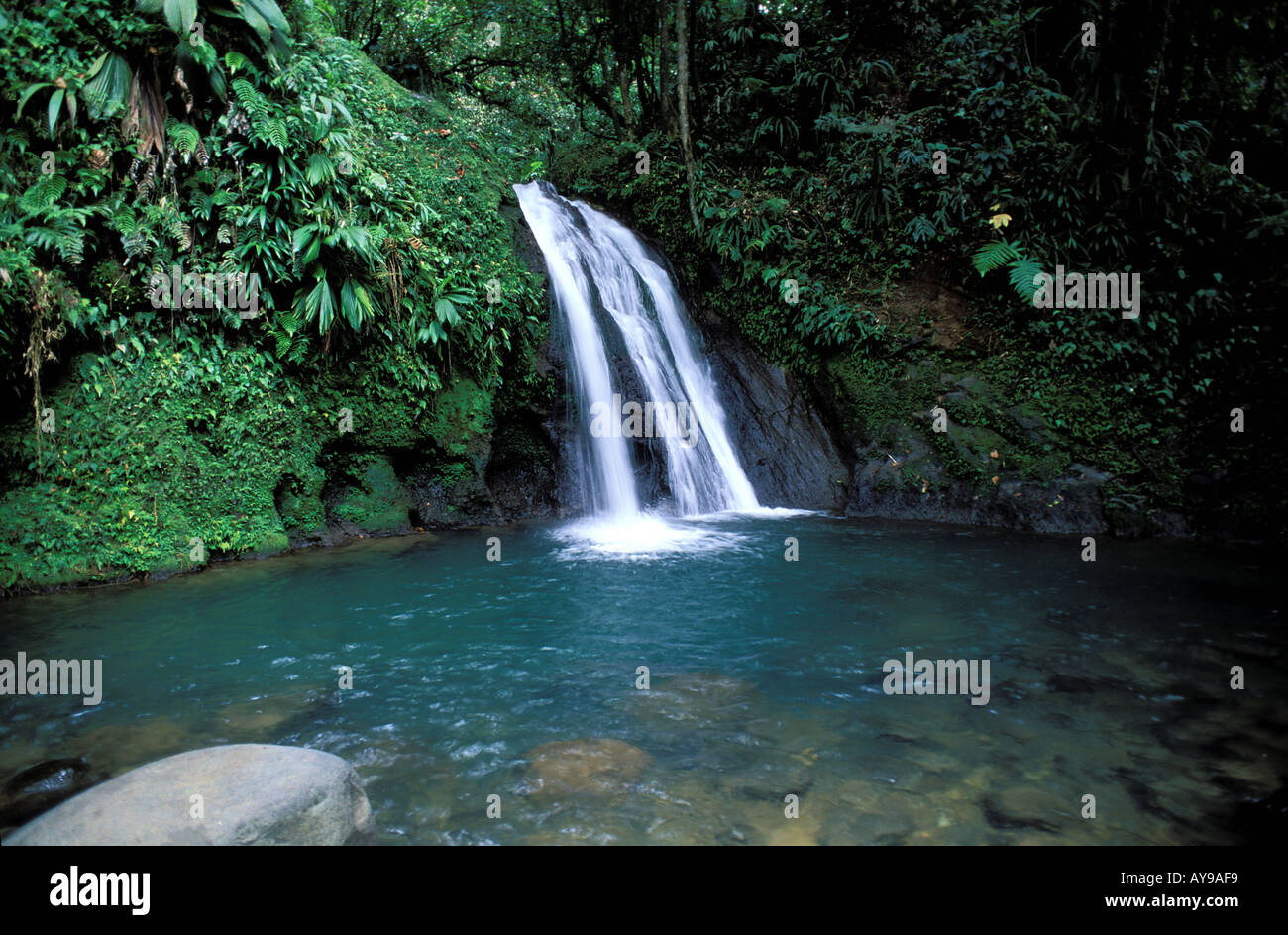 Crevisses Wasserfall Basse Terre-Guadeloupe Karibik Mittelamerika Stockfoto
