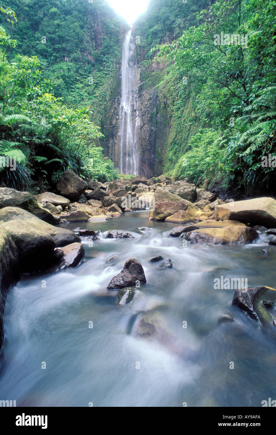 Carbet Wasserfall Basse Terre-Guadeloupe Karibik Mittelamerika Stockfoto