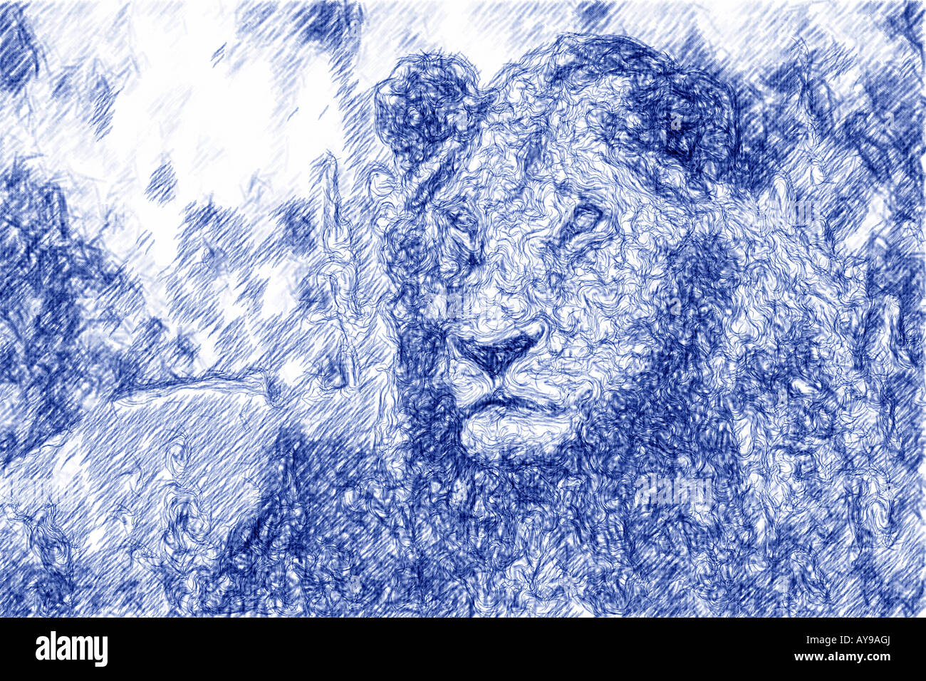 Männlicher Löwe abstrahiert Stockfoto