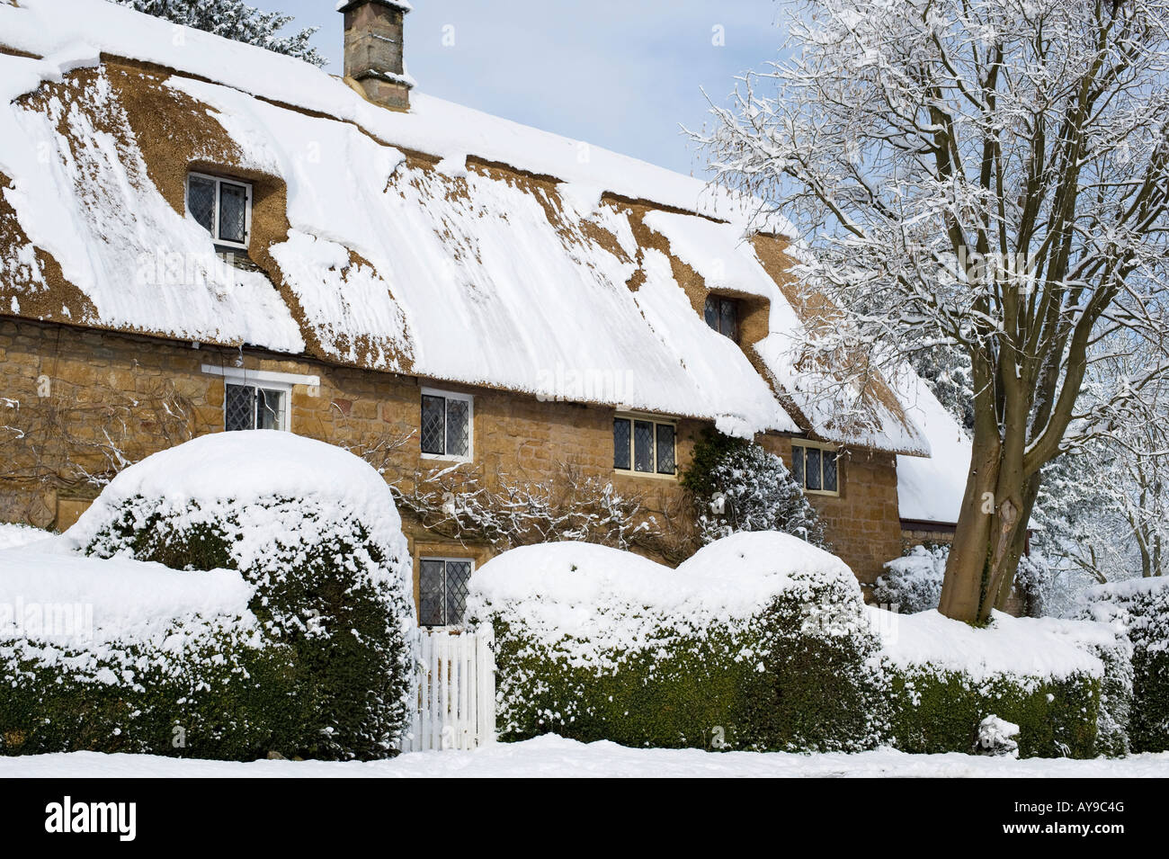 Englische Reetdachhaus mit Schnee bedeckt. Großen Tew, Oxfordshire, England Stockfoto