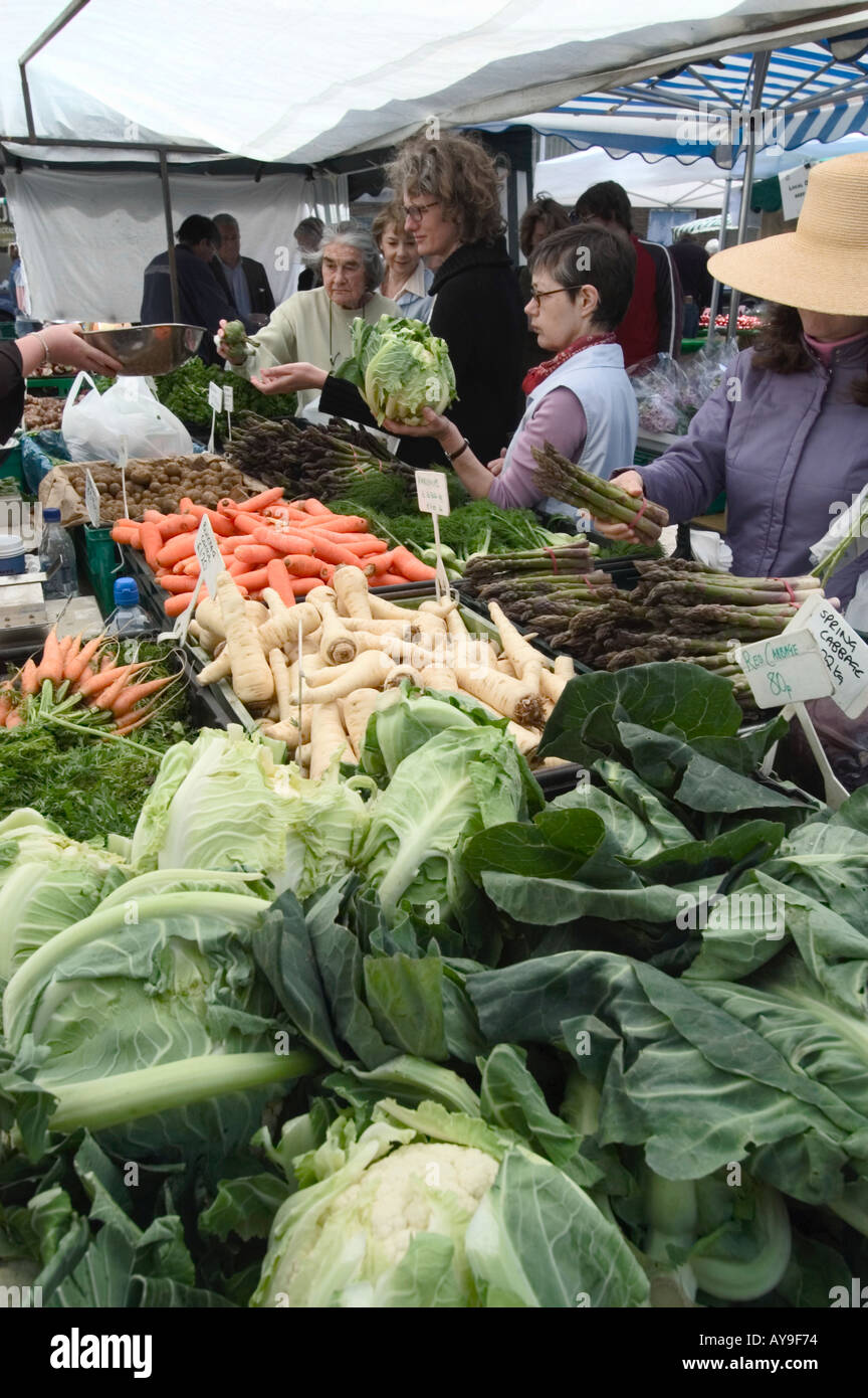 Bio-Gemüse in Notting Hill Agrar-Markt, London, England, UK Stockfoto