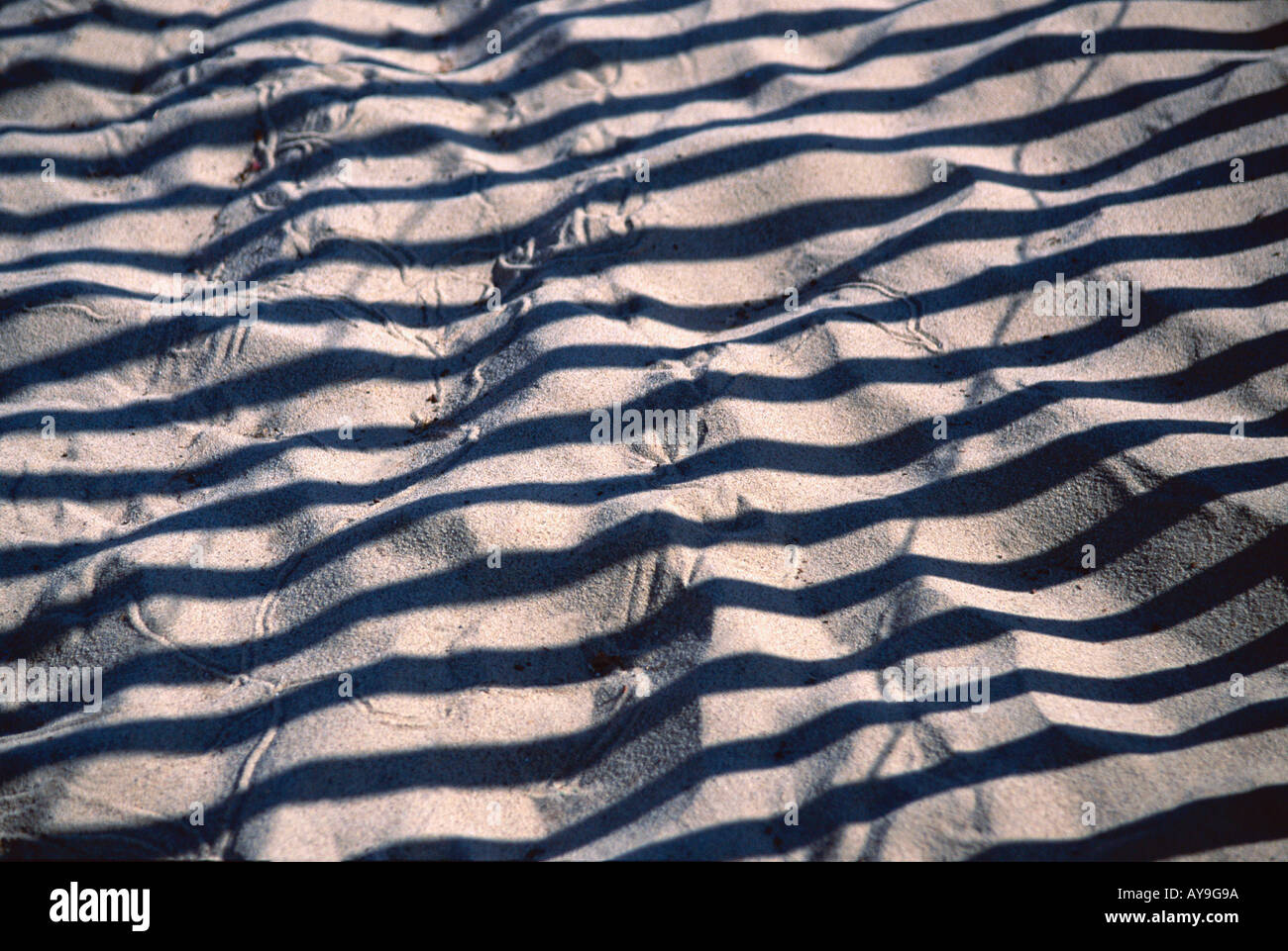 Linien auf Sand vom Zaun mit Sonne durch Herstellung eines Musters in Santa Monica, Kalifornien. Stockfoto