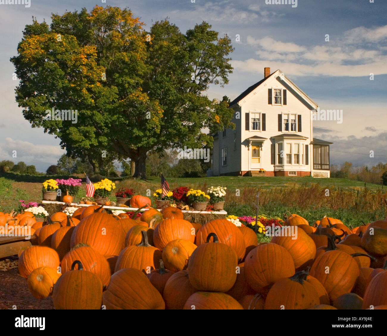Ein Bauernhaus in New England zeigt die Herbsternte Stockfoto