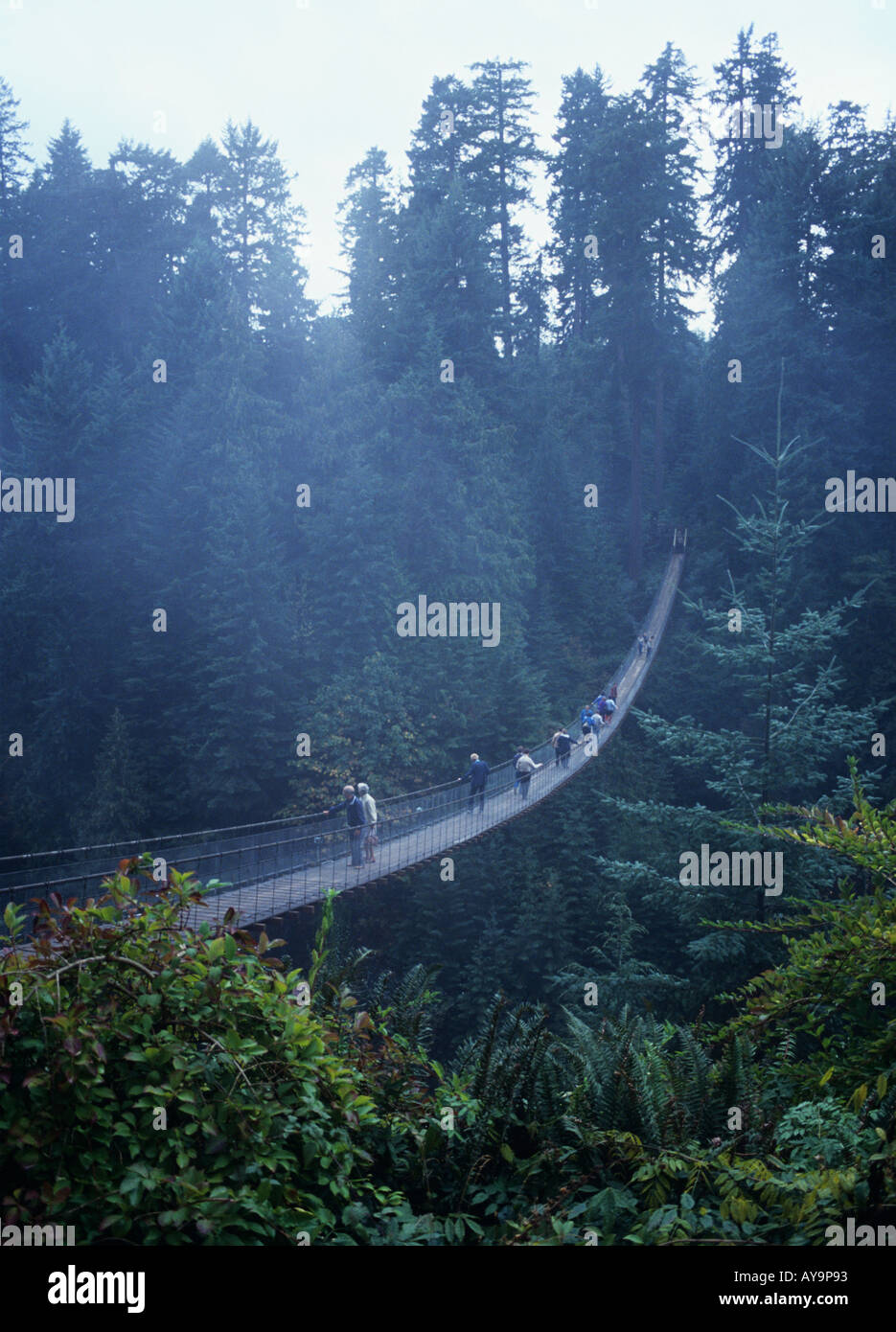 Capilano Suspension Bridge Fussgängerbrücke 230 Fuß über den Capilano Canyon in Vancouver Kanada Stockfoto