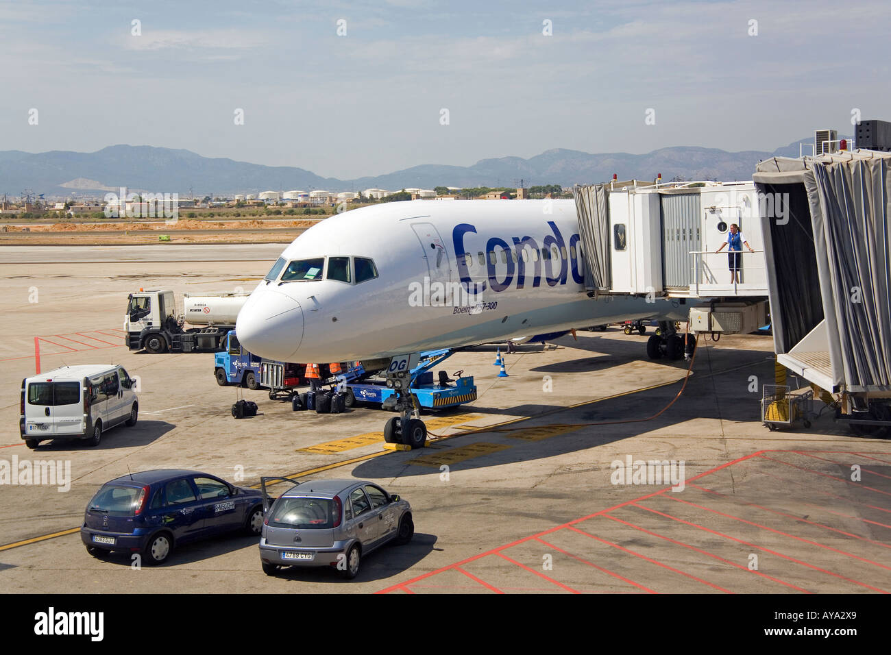 Ein Flugzeug der deutschen Fluggesellschaft Condor während es gewartet wird, Palma De Mallorca, Balearen, Spanien Stockfoto