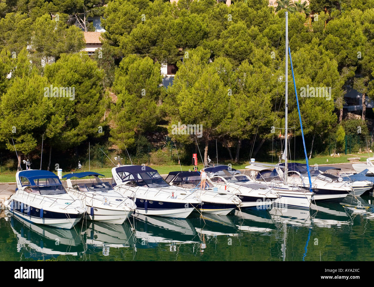 Boote in den Hafen von Santa Ponca, Mallorca, Balearen, Spanien Stockfoto