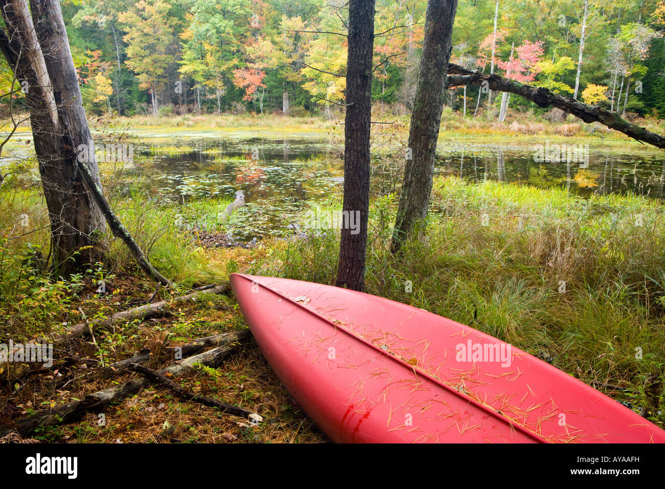 Eine Kanu liegt neben einem kleinen Teich in der Nähe von Page Brook und See Winnipesauke in Meredith, New Hampshire Stockfoto