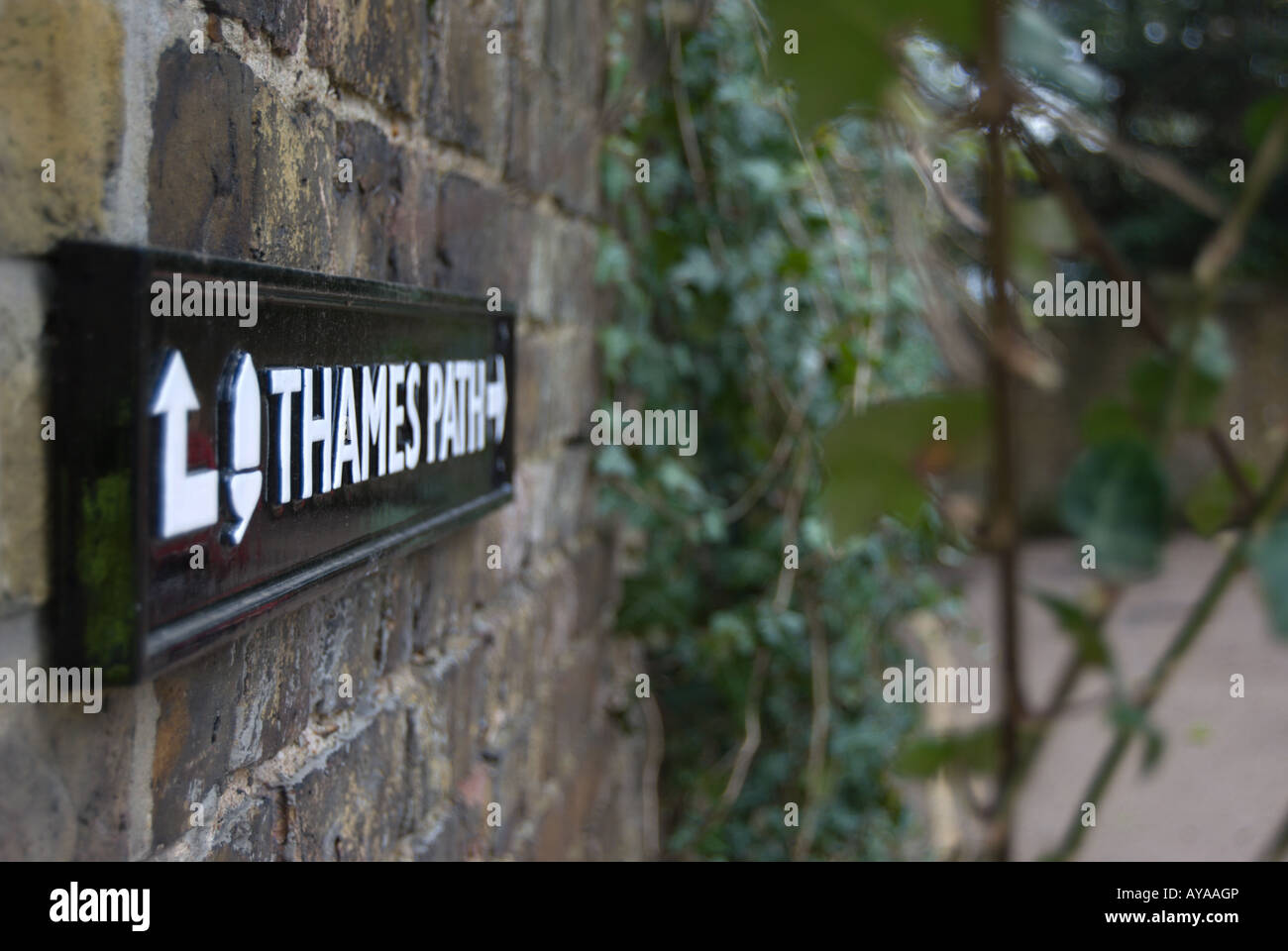 Zeichen für die Themse-Pfad, der viel von den Verlauf der Themse in Twickenham, Middlesex, in der Nähe von London, England folgt Stockfoto