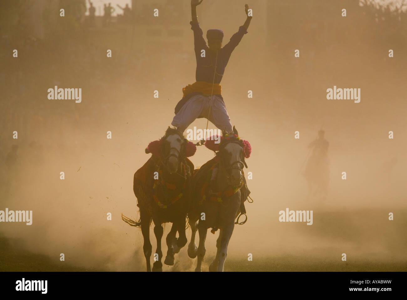 Aufladen von Pferd und Reiter auf dem Sikh Festival, Hollamohalla Festival, Anandpursahib, Punjab, Indien Stockfoto