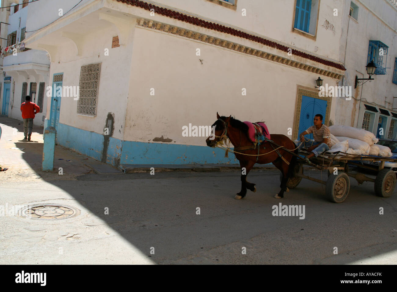 Pferd und Wagen in Sousse, Tunesien Stockfoto