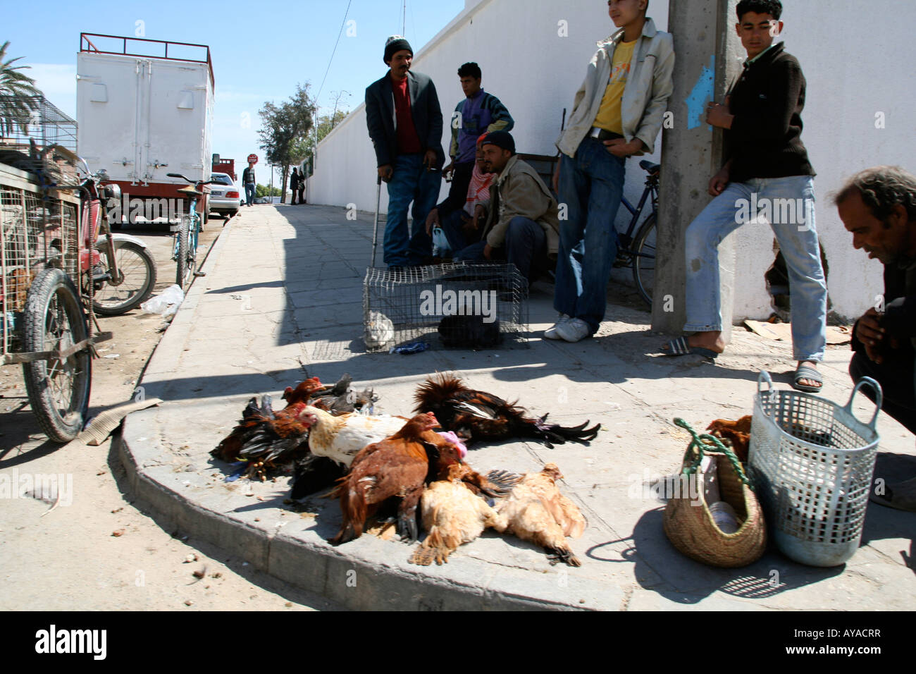 Straßenecke Szene in Kairouan, Tunesien Stockfoto