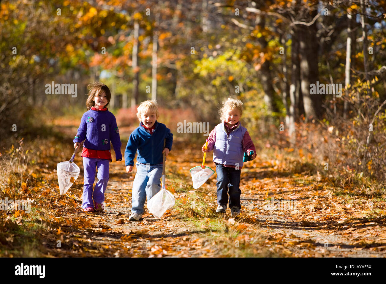 Drei Kinder (4 und 6 Jahre alt) auf einem Waldweg in Biddeford, Maine. Stockfoto