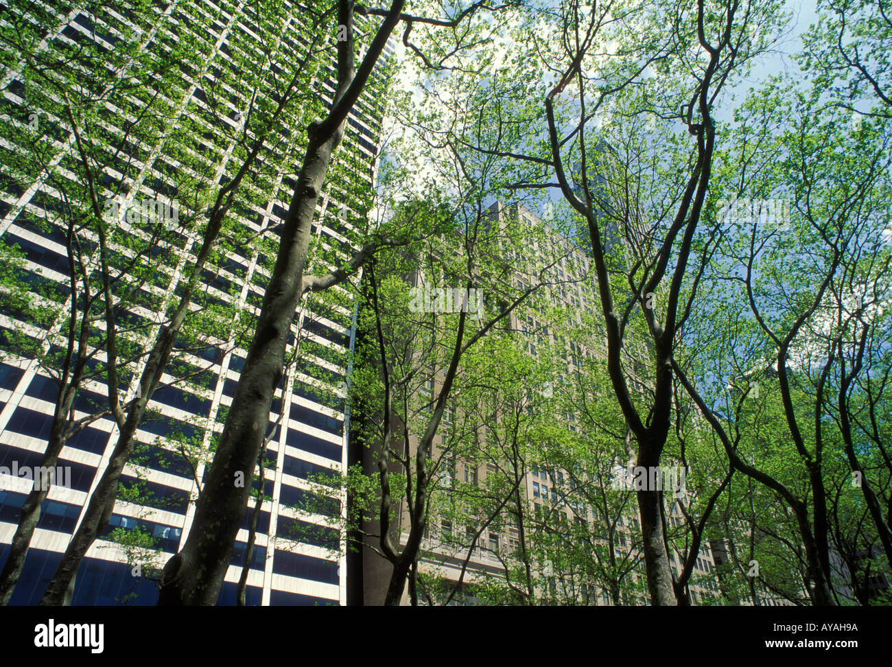 Midtown Manhattan New York City USA Stockfoto