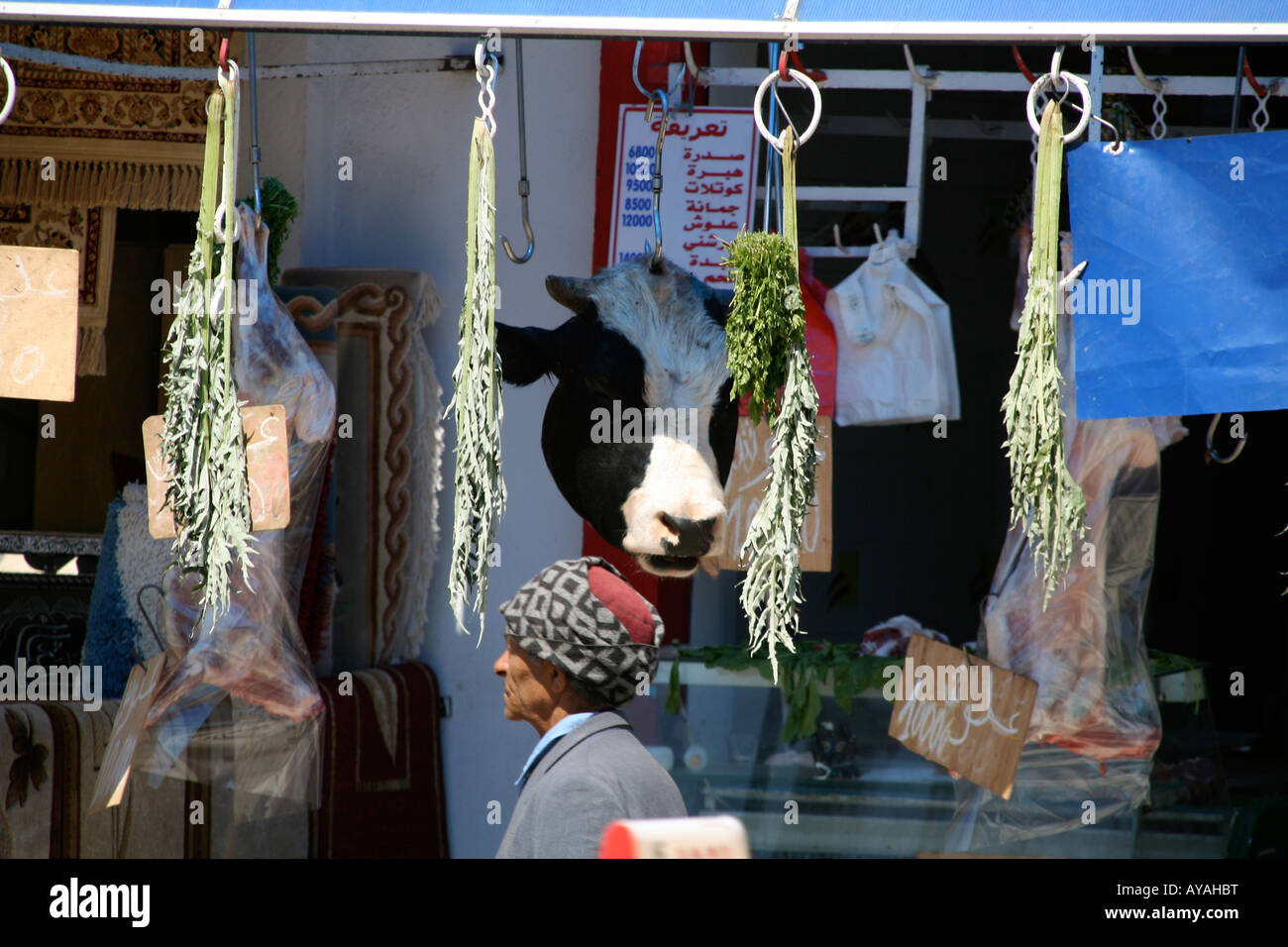 Eine Kühe Kopf hängen vor einer Metzgerei in Kairouan, Tunesien Stockfoto