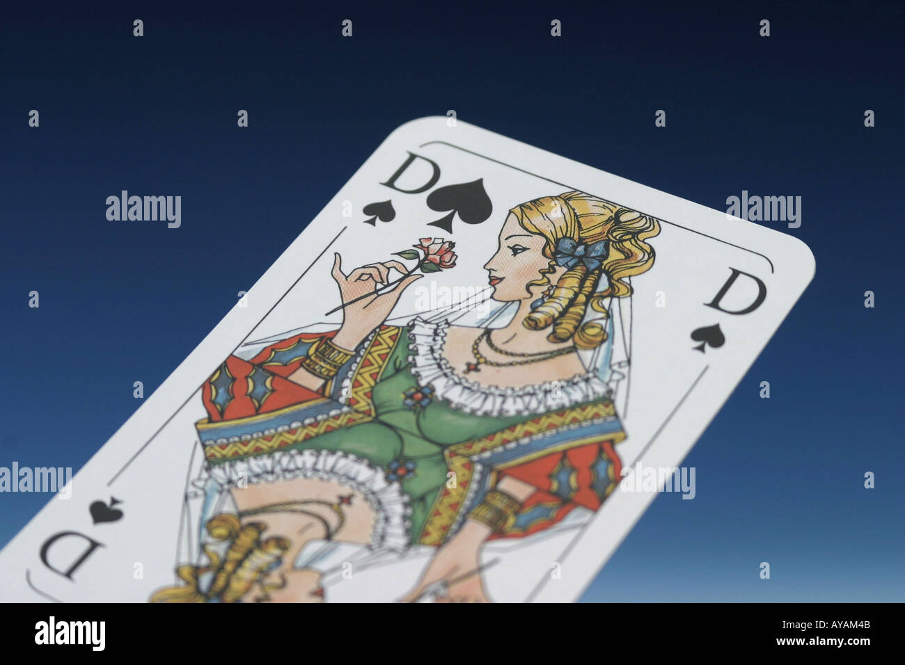 Spielkarte Pik Dame Stockfoto